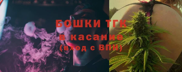 индика Алексеевка