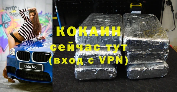 индика Алексеевка